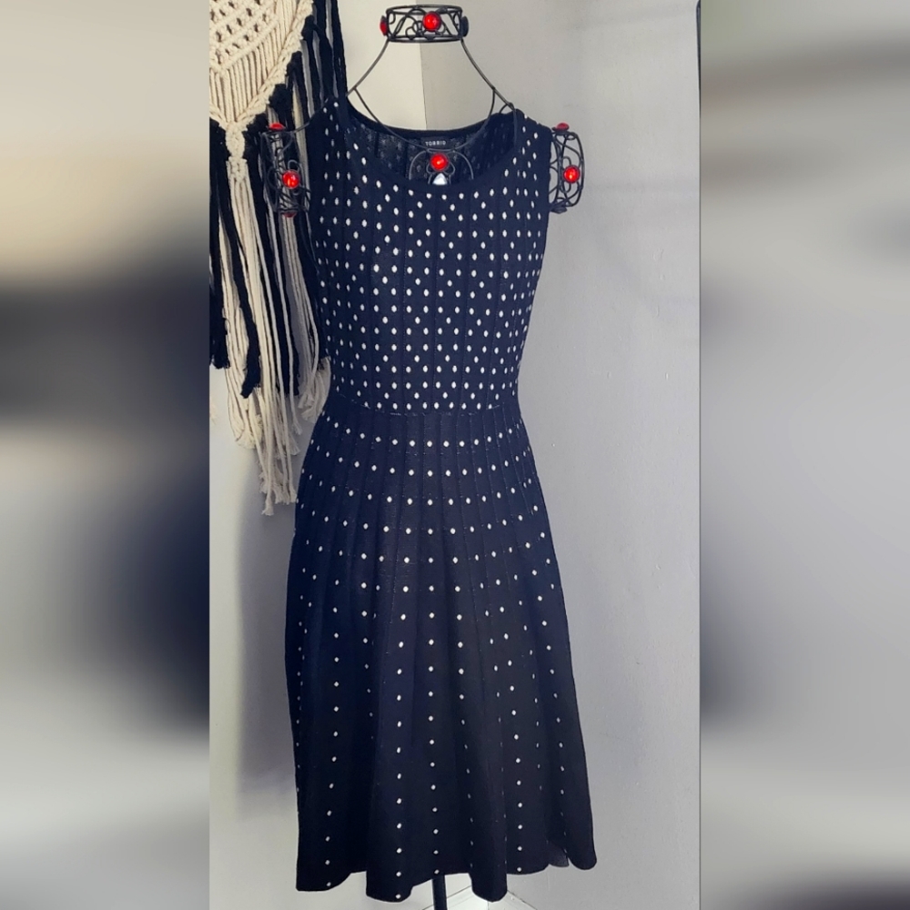 Torrid black and silver skater dress